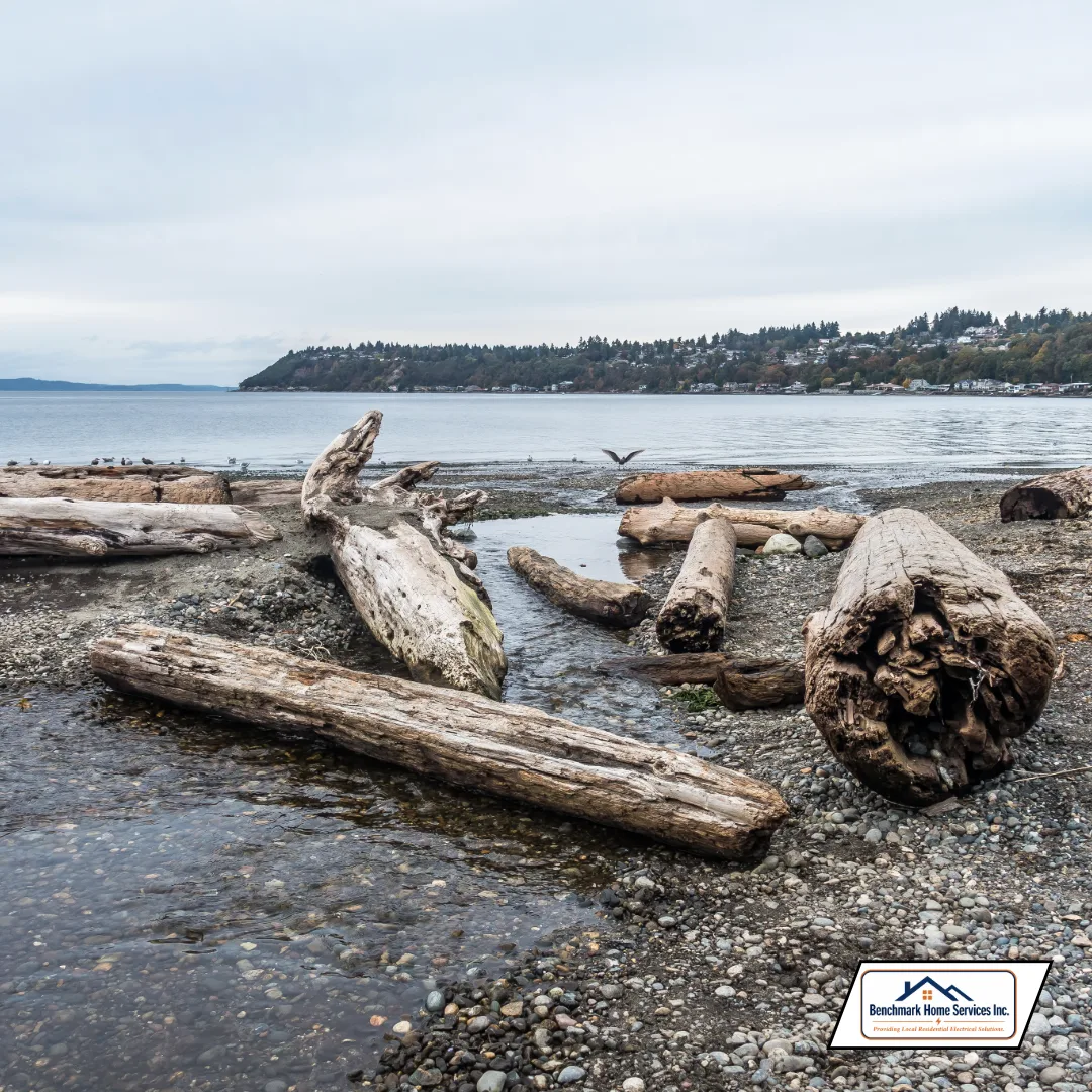 Burien WA electrical service area